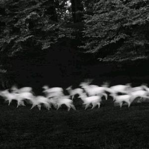 美女网站在线观看
