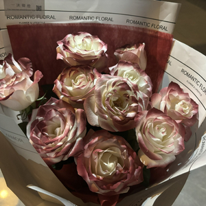 美女网站在线观看
