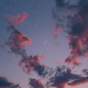 美女网站在线观看
